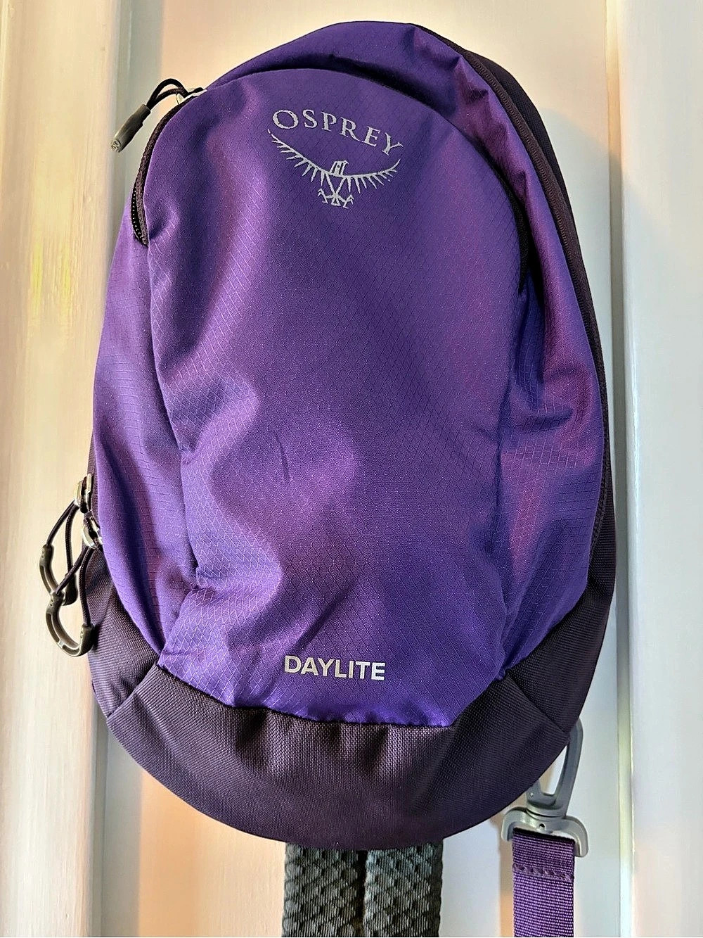 Osprey Unisex Daylite Sling Purple Backpack